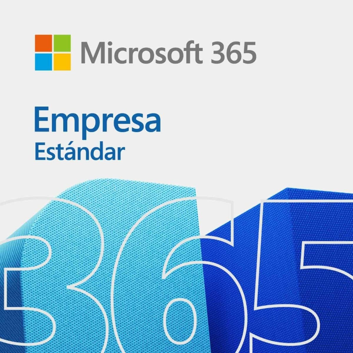 Microsoft 365 Empresa Estándar - 12 meses